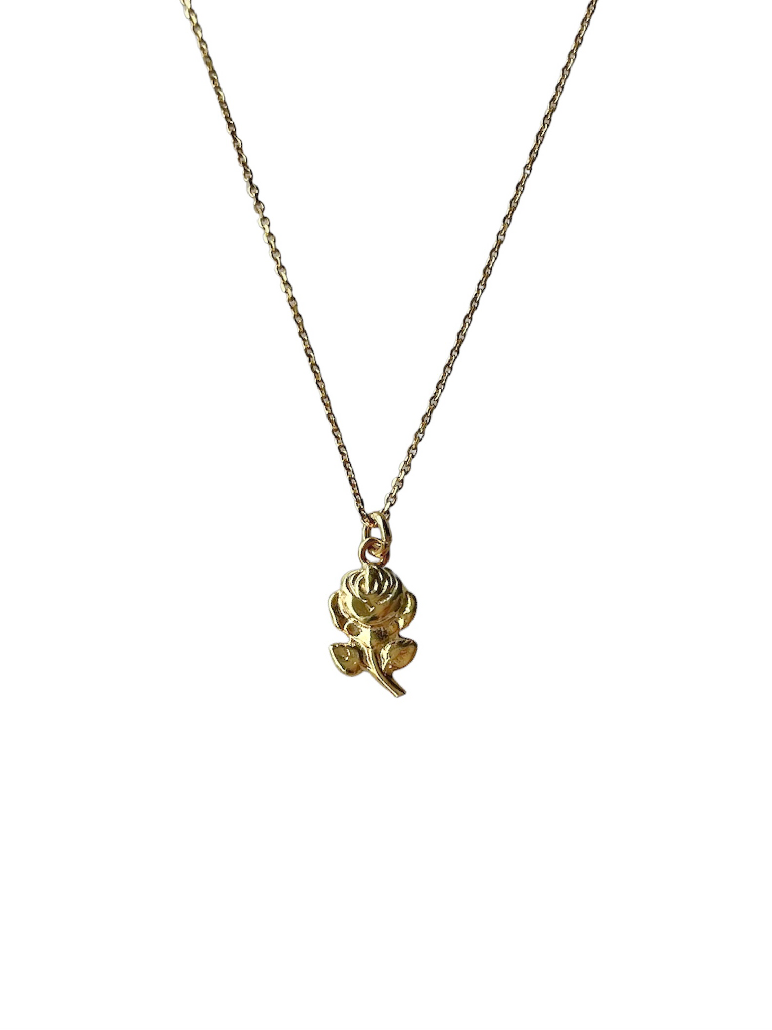 Zénaïs Rose 2023 Lucky Charm - Chain Necklace - Gold or Silver