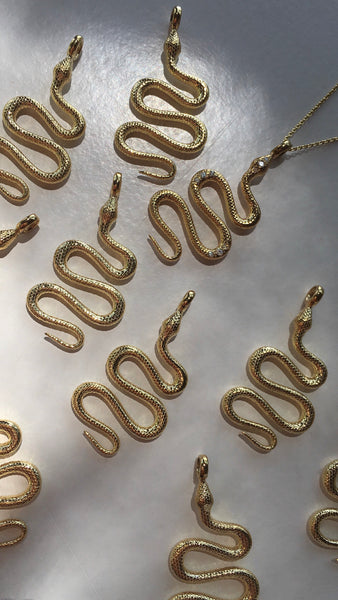 Python Large - Shiny Chain
