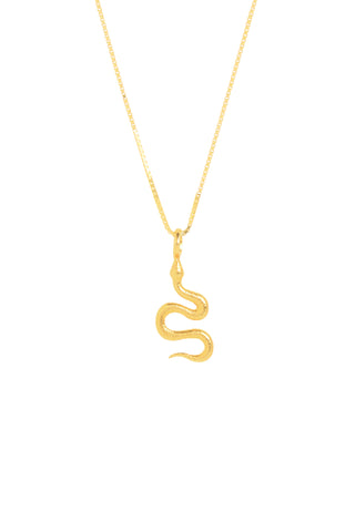 Python Small - Shiny Chain