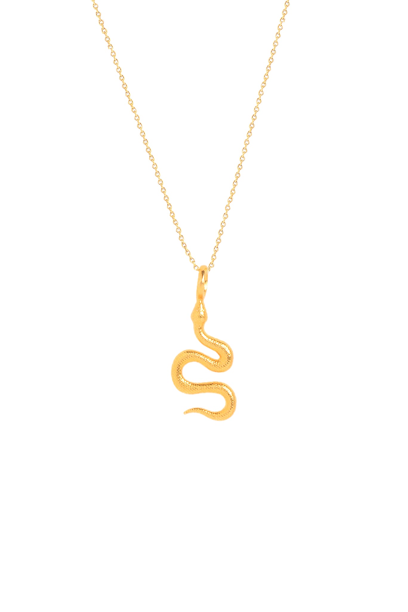 Python Small - Thin Chain